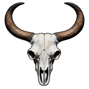 Longhorn Skull With Horns Png Bpl PNG Image