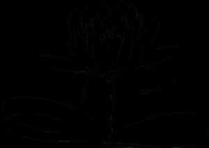 Lotus Flowers Clipart Black And White , Png - Lotus Flower Clipart Black And White, Transparent Png PNG image with transparent background
