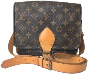 Louis Vuitton Monogram Canvas Bag PNG Image