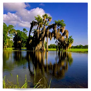 Louisiana Bayou Landscape Png Gmd13 PNG Image