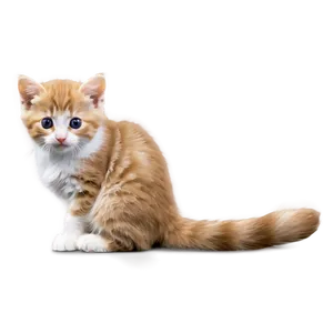 Lovable Kitten Friend Png Eqt16 PNG Image