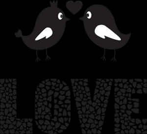 Love Birds Black Background PNG image with transparent background