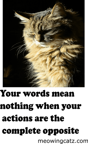 Love, HD Png Download PNG image with transparent background