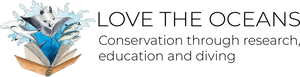 Calligraphy, HD Png Download PNG with transparent background