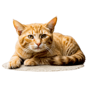 Lovely Feline PNG 96 PNG image with transparent background