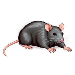 Lovely Rat Drawing Png 48 PNG Image