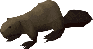 Beaver Pet - Beaver Pet Osrs PNG image with transparent background