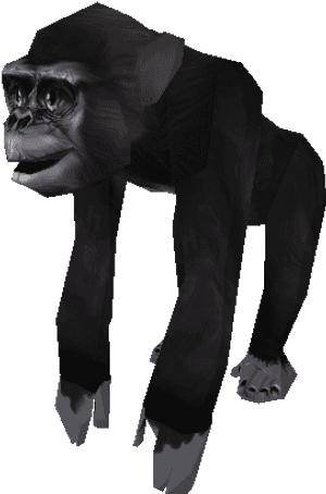 Download Zip Archive - Mountain Gorilla, HD Png Download PNG image with transparent background