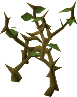 Low Poly Jungle Tree PNG image with transparent background
