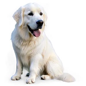 Loyal Great Pyrenees Companion Png 5 PNG Image