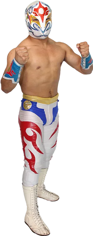 Luchadorin Action Pose PNG Image