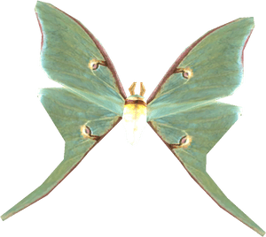 Lunamoth - Transparent Luna Moth Png, Png Download PNG with transparent background