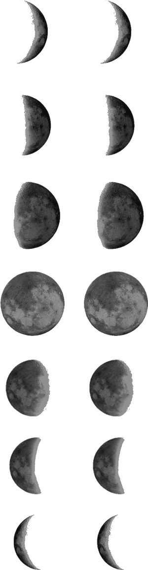Temporary Tattoo Moon Phases Moon Phase Tattoo Template - Moon Phase Tattoo Outline, HD Png Download PNG with transparent background