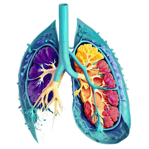 Lung Cells Respiratory PNG mxg PNG with transparent background