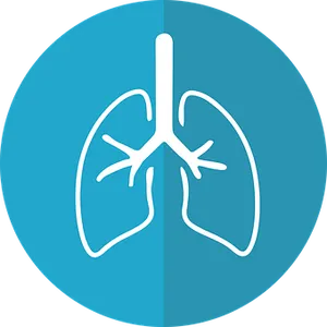 Lung Icon Graphic PNG Image