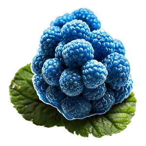 Luscious Blue Raspberry PNG 06212024 PNG