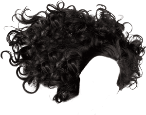 11 2 Hair Png - Black Curly Hair Png, Transparent Png PNG image with transparent background