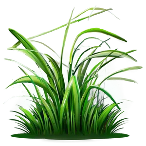 Lush Cartoon Grass Png Bwj56 PNG Image