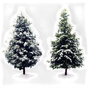 Lush Evergreen Tree Png 55 PNG Image