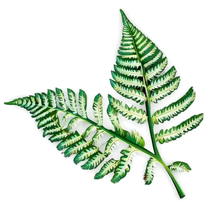 Lush Fern Leaf Clipart Png Xrp57 PNG Image