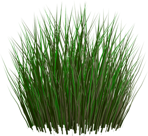 Lush_ Green_ Grass_ Clump PNG image with transparent background