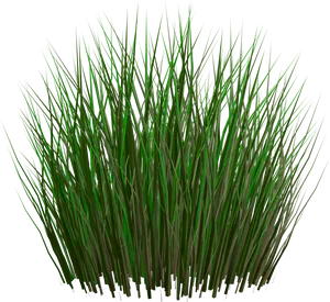 Lush_ Green_ Grass_ Clump PNG Image