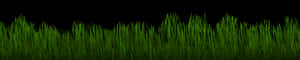 Lush Green Grass Edge PNG image with transparent background