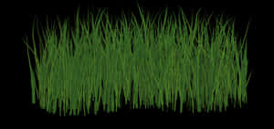 Lush Green Grass Texture PNG with transparent background
