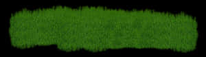 Lush Green Grass Texture Panorama PNG with transparent background