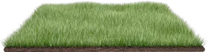 Lush Green Lawn Section PNG Image