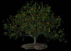 Lush Green Tree Black Background PNG image with transparent background