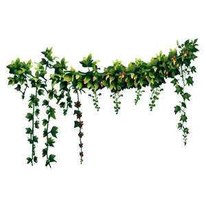 Lush Green Vine Decoration PNG image with transparent background