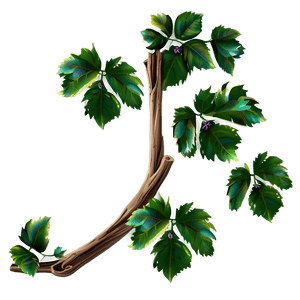 Lush Green Vine Illustration PNG image with transparent background