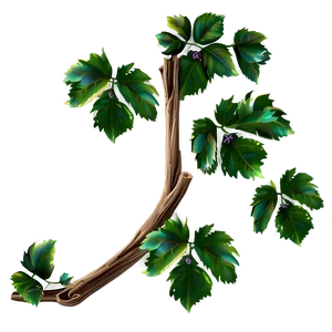 Lush Green Vine Illustration PNG Image