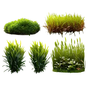 Lush Greenery Grass Png 79 PNG Image