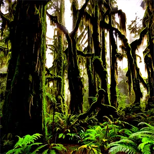 Lush Hoh Rainforest Png Wdn79 PNG Image