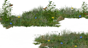 Spring Meadow Transparent PNG PNG image with transparent background