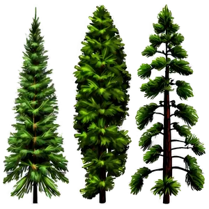 Lush Pine Tree Forest Png 75 PNG Image