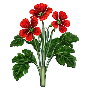 Lush Red Geraniums Png Vfv PNG Image