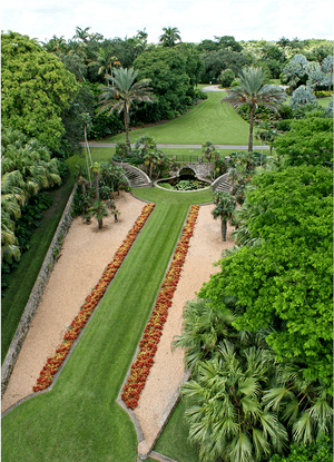 Fairchild Tropical Botanic Garden, Coral Gables, Fl - Fairchild Tropical Botanic Garden PNG with transparent background