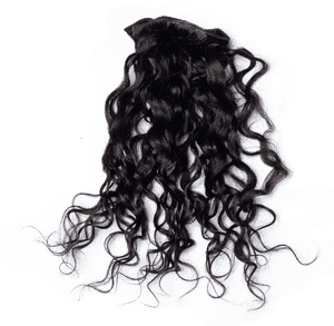 Curly Black Hair Png , Png Download - Black Curly Hair From Back Png, Transparent Png PNG image with transparent background