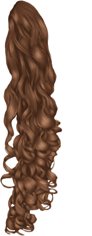 Black Hair Wig Hairstyle - Curly Hair Png Transparent, Png Download PNG image with transparent background