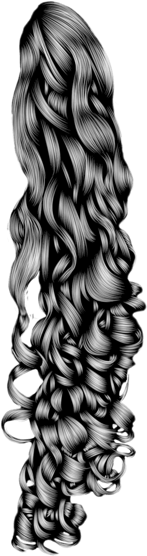 Black Curly Pony Tail By Hell - Curly Hair Png Transparent, Png Download PNG image with transparent background