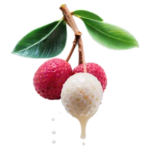 Lychee Dessert Topping Png 06252024 PNG Image