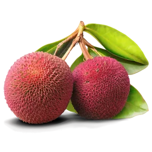 Lychee Exotic Elegance Png Jde PNG Image