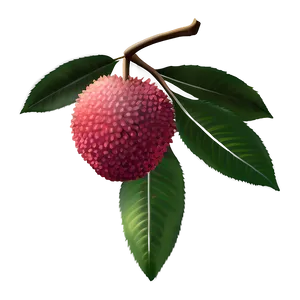 Lychee Fruit Icon Png 92 PNG Image