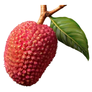 Lychee Fruit Icon Png Lck PNG Image