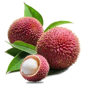 Lychee In Natural Light Png Yxl15 PNG Image