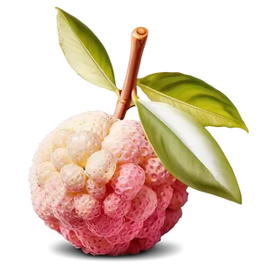 Lychee Nutritional Snack Png 80 PNG Image