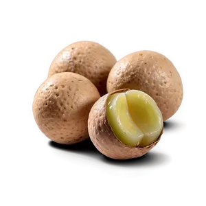 Macadamia Nut Png 06122024 PNG Image